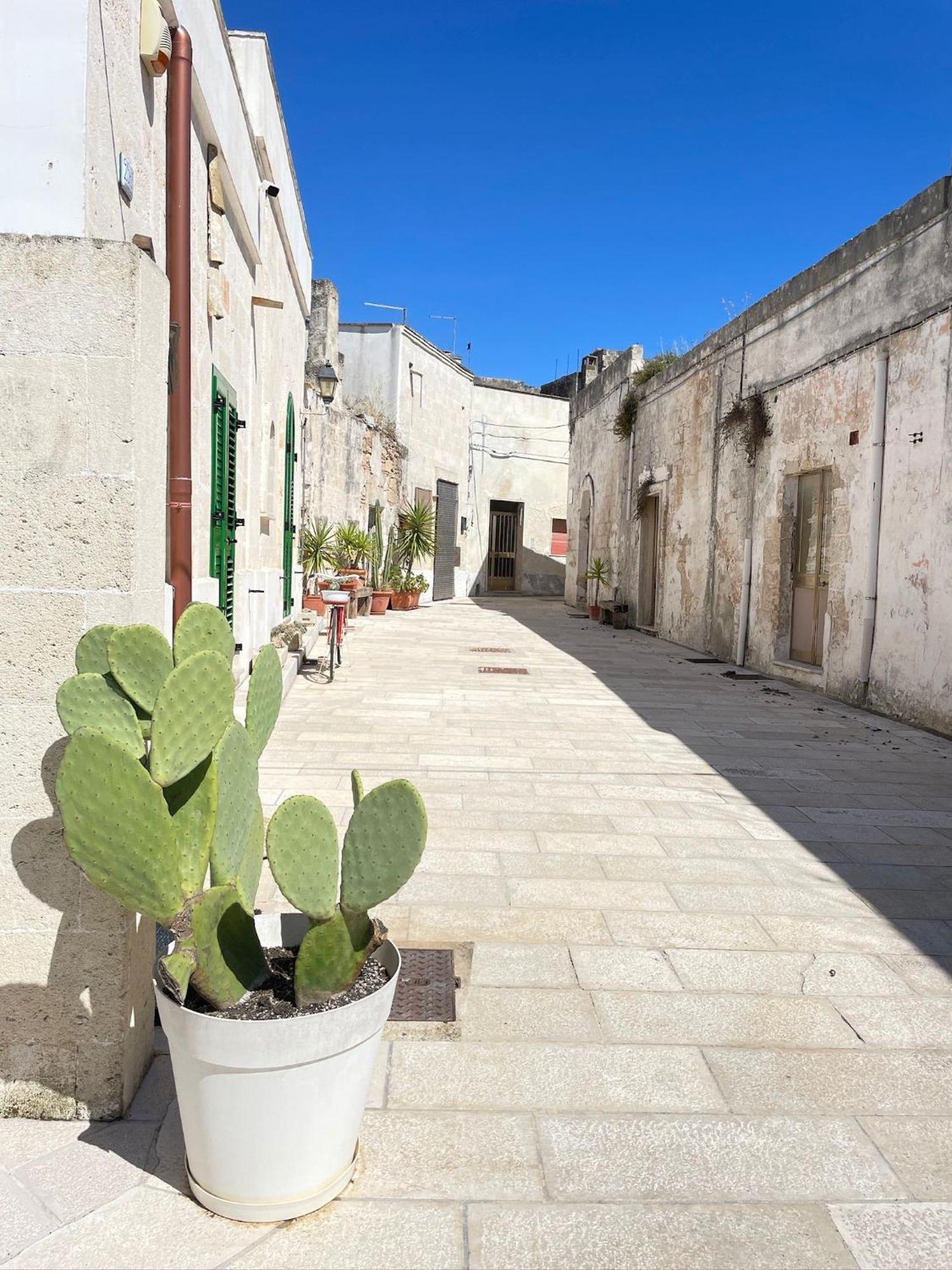 B&B Borgo Monacizzo Ngoại thất bức ảnh